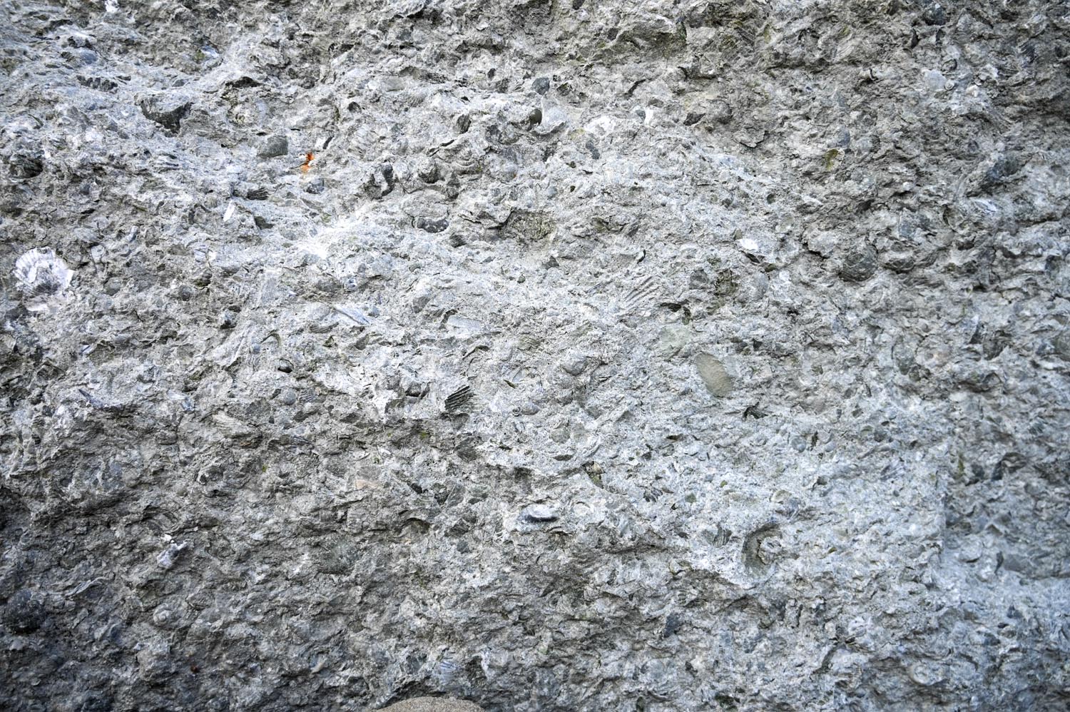 Emil Fischer AG Steinindustrie Slider 02